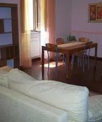 Appartamento di 3 locali in Affitto Appartamento di 3 locali in Affitto