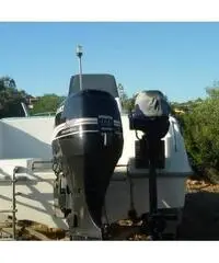 Barca a motore fuori bordo