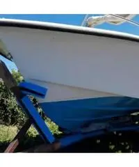 Barca a motore Barca a motore