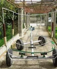 Barca con motore e carrello Barca con motore e carrello