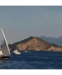 Barca a vela da regata modello Fun ottimo stato Barca a vela da regata modello Fun ottimo stato