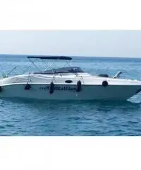 Martin 25cabin 4.3MPI Bravo III Martin 25cabin 4.3MPI Bravo III