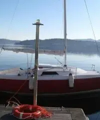 Vela cabinato microchallenger 550 Vela cabinato microchallenger 550