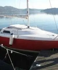 Vela cabinato microchallenger 550 Vela cabinato microchallenger 550