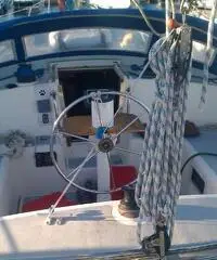 barca a vela MOODY Moody 39 anno 1976 lunghezza mt 1183 barca a vela MOODY Moody 39 anno 1976 lunghezza mt 1183