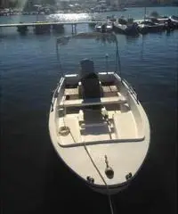 Barca a motore Barca a motore