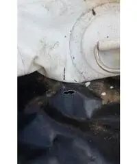 TENDER 2,40 ZODIAC