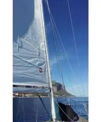 BARCA A VELA AMON 7,90