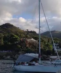 BARCA A VELA AMON 7,90