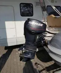 Sacs evinrude e-tec Sacs evinrude e-tec