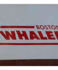 Boston whaler 15 sport