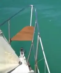 Sloop 7,5 m EM 7 con entrobordo Lombardini Sloop 7,5 m EM 7 con entrobordo Lombardini