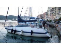 Barca vela 8 mt Mattia&Cecco Cecco8 usata