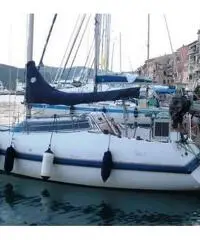 Barca vela 8 mt Mattia&Cecco Cecco8 usata