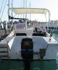 barca vtr 6.0 mt barca vtr 6.0 mt