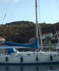 Moana 39 Moana 39