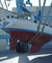Moana 39 Moana 39