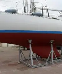 Moana 39 Moana 39