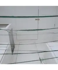 Barca cabinata pilotina da 5, mt come nuova Barca cabinata pilotina da 5, mt come nuova