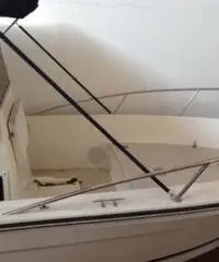 Robalo 21CC + Yamaha 200 Robalo 21CC + Yamaha 200