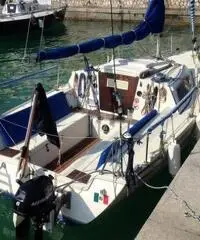 BARCA A VELA ELAN 19 BARCA A VELA ELAN 19