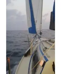 BARCA A VELA ELAN 19 BARCA A VELA ELAN 19