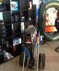 Motori Fuoribordo Suzuki Motori Fuoribordo Suzuki