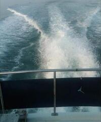 barca a motore SEA RAY BOATS sea ray 360 anno 1987 lunghezza mt 11.0