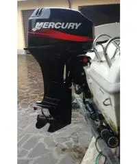 Mercury 40cv 2tempi - 2001 Mercury 40cv 2tempi - 2001