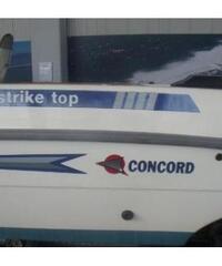 Concord Strike top