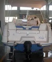 Quicksilver Flamingo 620