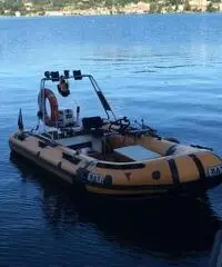 Gommone BAT + Motore Johnson 20 HP + Carrello stradale omologato