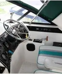 BAHA 31 EXPRESS XLE BAHA 31 EXPRESS XLE