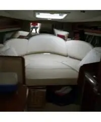 CHAPARRAL 290 signature