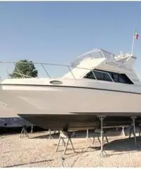 Kingfisher 1000 Kingfisher 1000