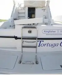 Kingfisher 1000 Kingfisher 1000
