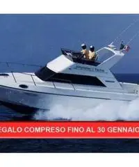 Kingfisher 1000 Kingfisher 1000