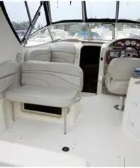 LARSON BOATS Cabrio 260 LARSON BOATS Cabrio 260