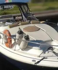 LARSON BOATS Cabrio 260 LARSON BOATS Cabrio 260