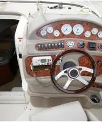LARSON BOATS Cabrio 260 LARSON BOATS Cabrio 260