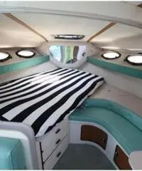 REGAL MARINE 290 COMMODORE REGAL MARINE 290 COMMODORE