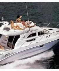 SEALINE F 33