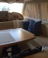 Vektor sas Adriana 36