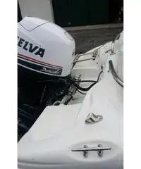 barca a motore RANIERI azzura anno 1999 lunghezza mt 5 barca a motore RANIERI azzura anno 1999 lunghezza mt 5