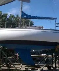 barca a vela COMAR Comet 801 anno 1979 lunghezza mt 7,68 barca a vela COMAR Comet 801 anno 1979 lunghezza mt 7,68