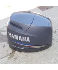 Calandra usata Yamaha F100 Calandra usata Yamaha F100