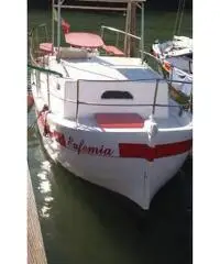 Gozzo a motore Gozzo a motore