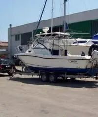 NOLEGGIO CARRELLI TRASPORTO BARCA ED EFFETTUO TRASPORTI BARCHE NOLEGGIO CARRELLI TRASPORTO BARCA ED EFFETTUO TRASPORTI BARCHE