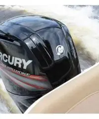 Nuovo F115 Mercury Nuovo F115 Mercury