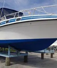 Orion Sport 850 Orion Sport 850